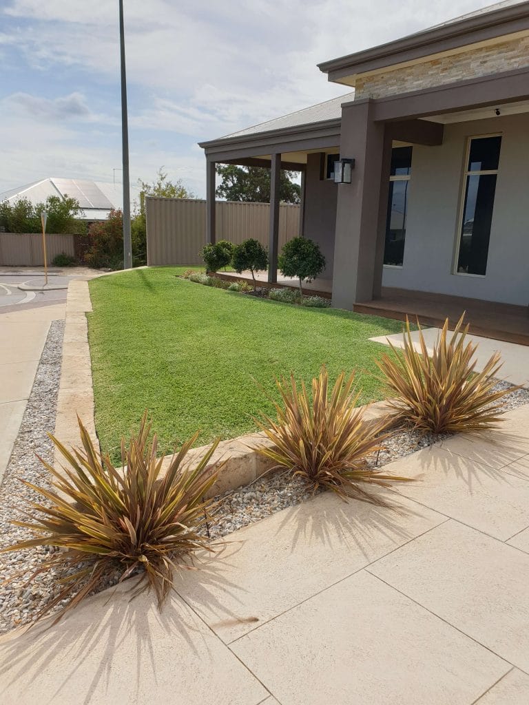 Lovely front lawn Baldivis Lawns