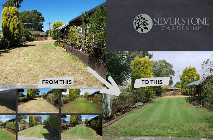 5 Quick Tips for a Beautiful Lawn