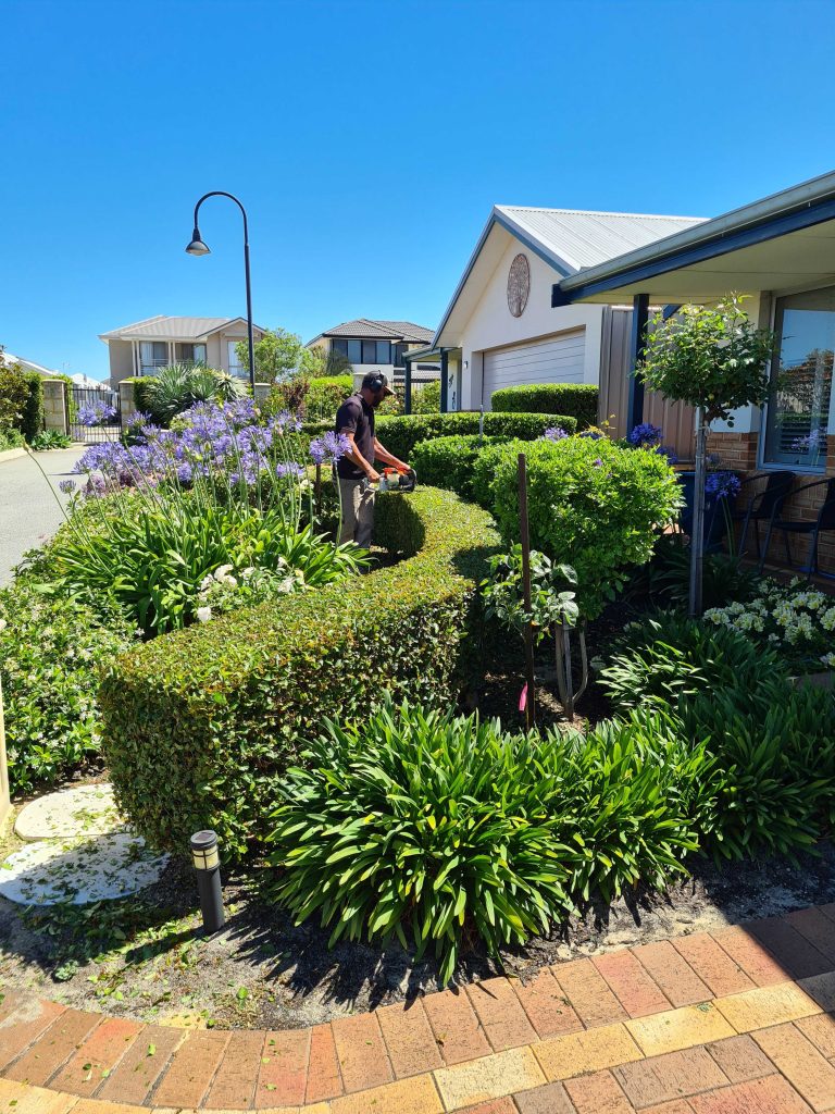 Gardening services Baldivis
