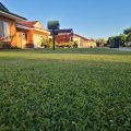 Couch Lawn Maintenance
