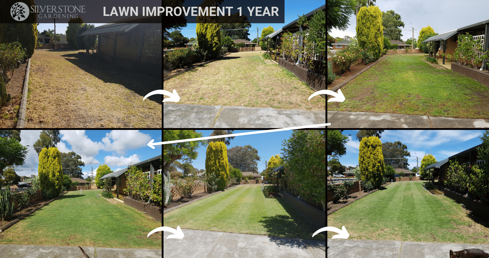 monthly watering guide for serious WA lawn lovers