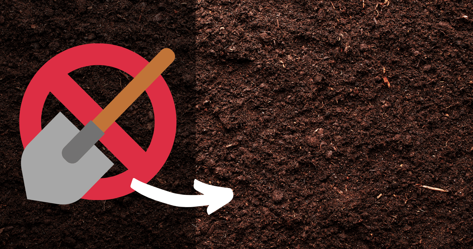 4 ‘No Dig’ Ways To Fix Your Sandy Perth Soil: Lawns And Gardens