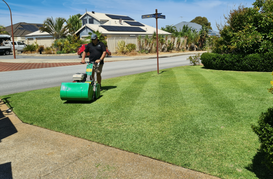 How often should a lawn be cut in Perth?
