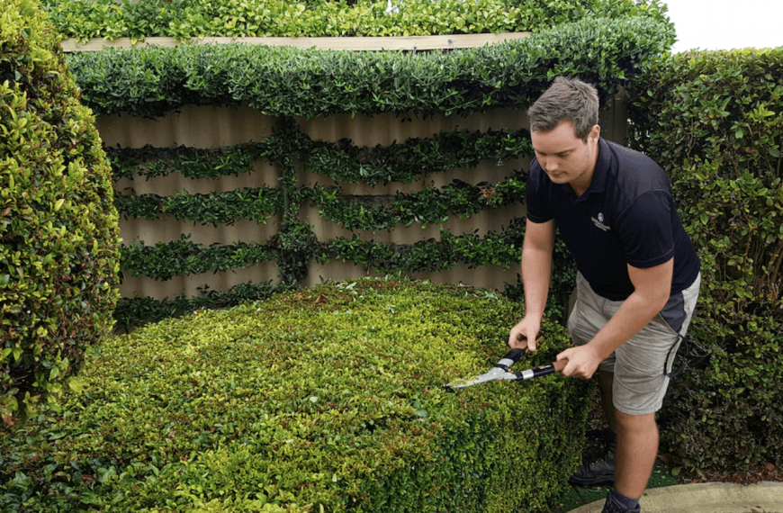 How to cut straight hedges