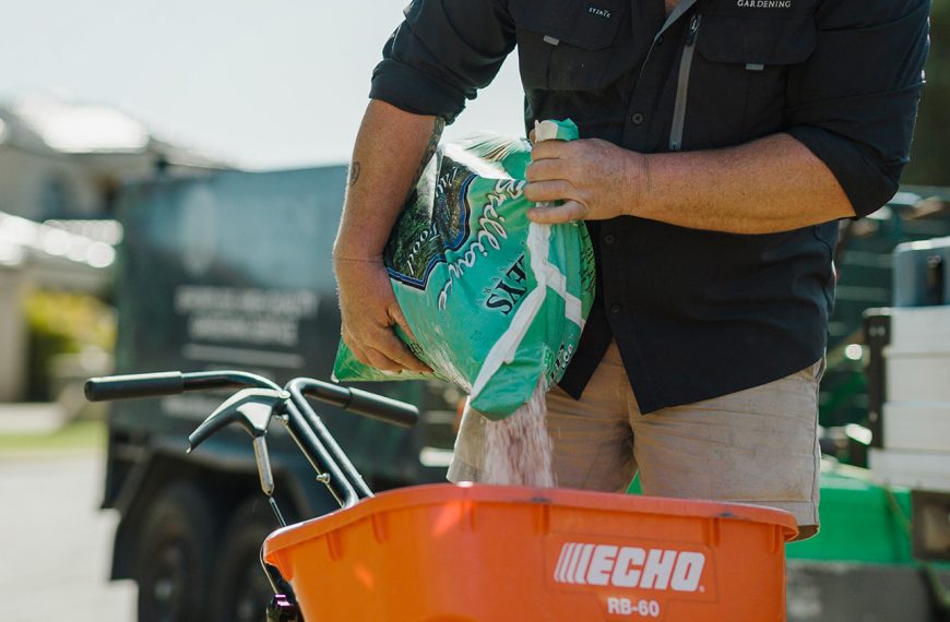 Which fertilisers are best for WA lawns?