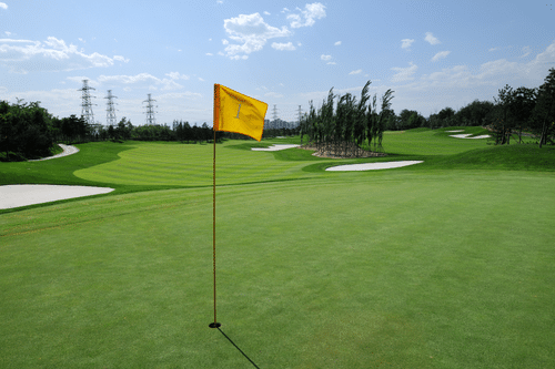 Golf course grade - how often should a lawn be cut in Perth Silverstone Gardening