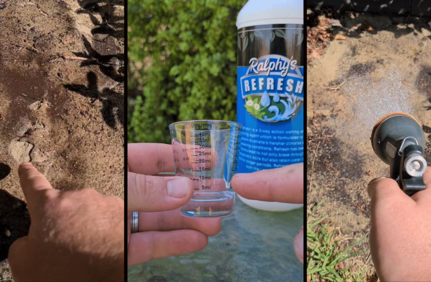 The power of quality wetting agents