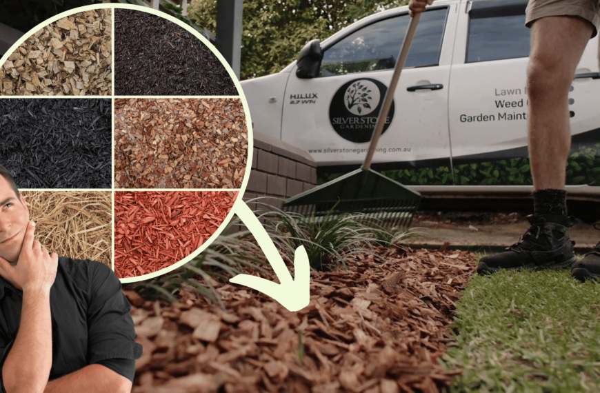 Which Mulch Is Best For Australian Gardens?
