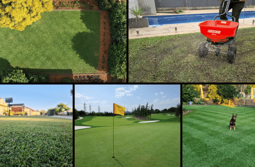 The Complete Lawn Fertiliser Guide