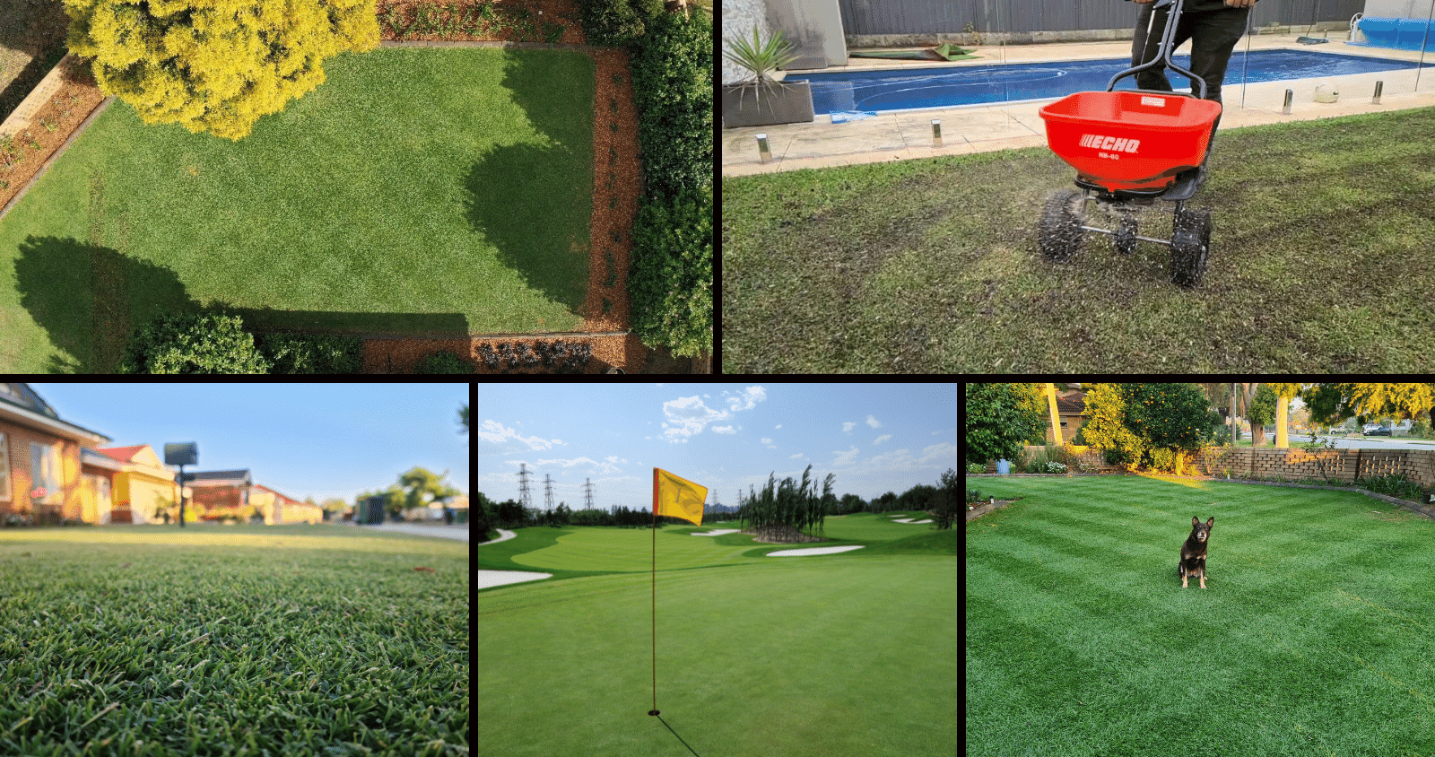 The Complete Lawn Fertiliser Guide