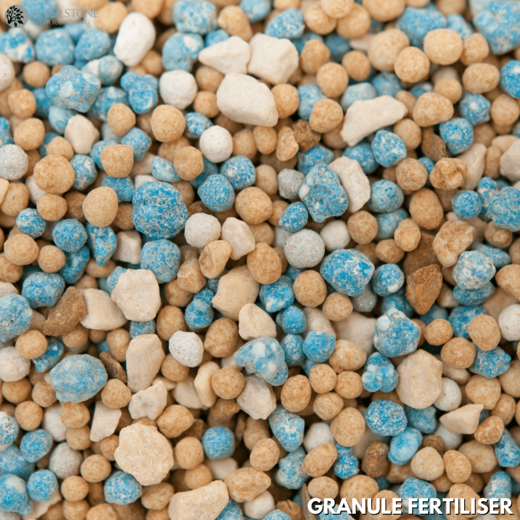 Maintaining a weed free lawn - Silverstone Gardening - Granule Fertiliser