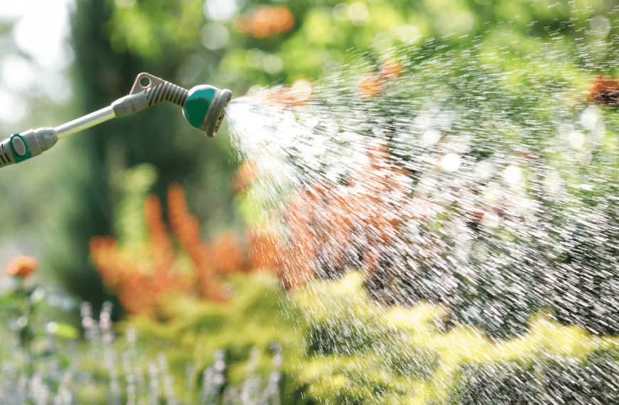 ADVICE FOR WATER WISE LAWNS AND GARDENS