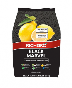 Why Perth citrus leaves go yellow - Black Marvel fertiliser (Silverstone Gardening)