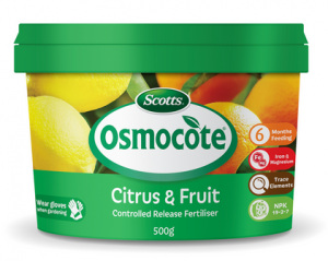 Why Perth citrus leaves go yellow - Osmocote Citrus & Fruit Fertiliser (Silverstone Gardening)