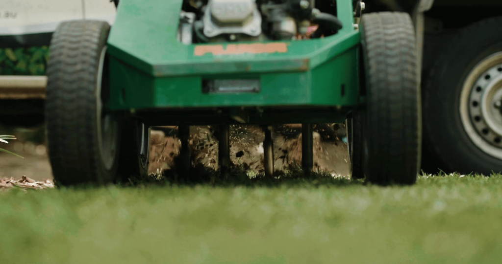 Aerating Buffalo Lawn