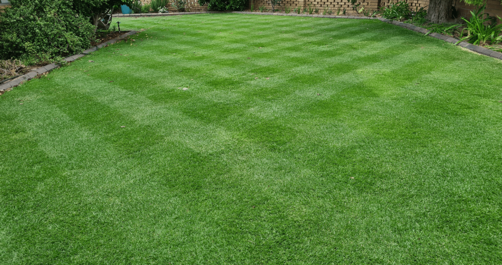 5 tips for a beautiful lawn - Silverstone Gardening
