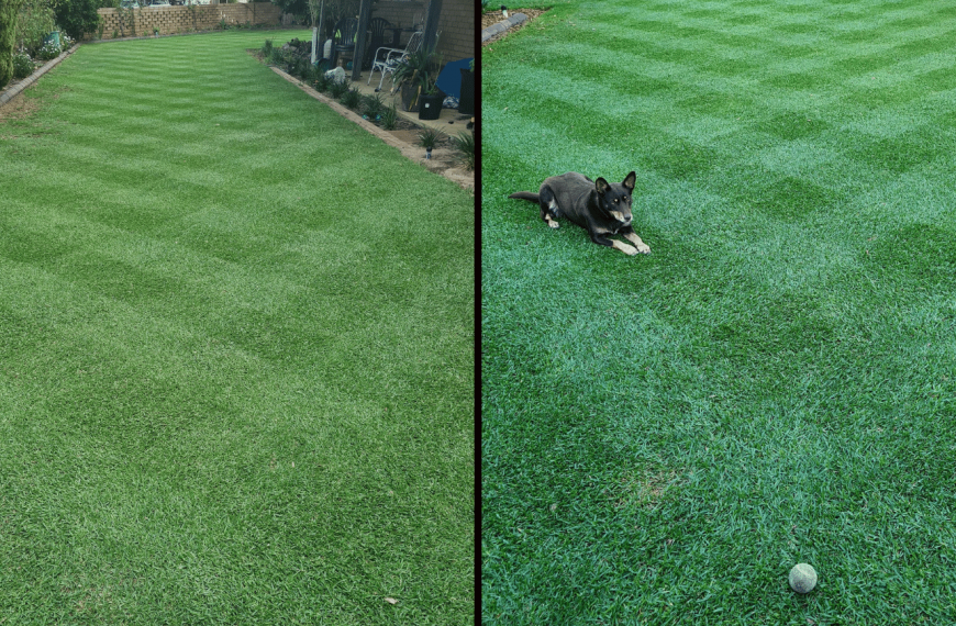 Brilliant lawn without wasting water: a monthly watering guide for serious WA lawn lovers