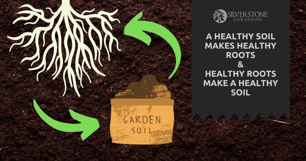 Healthy Soil = Healthy Roots - 4 'No Dig' Ways To Fix Sandy Perth Soil (Silverstone Gardening)