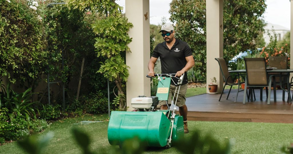 Cylinder Mowing Buffalo Lawn