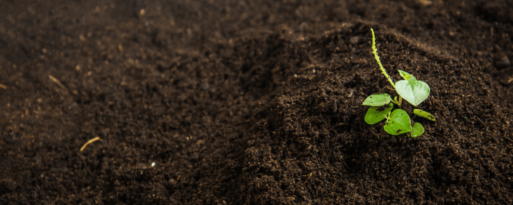 Gardening Services Armadale