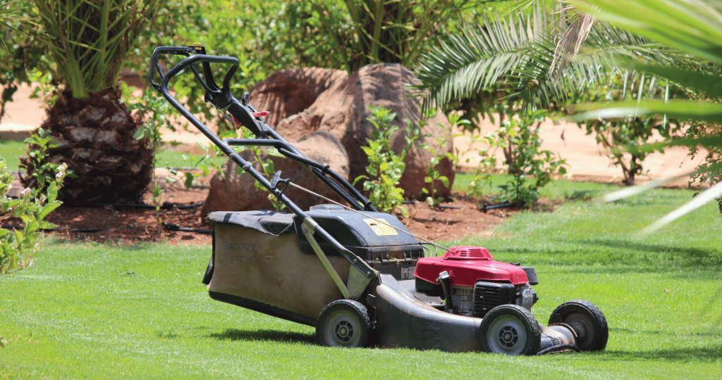 Self-propelled Rotary Lawn Mower - Silverstone Gardening (Best Lawn Mower)