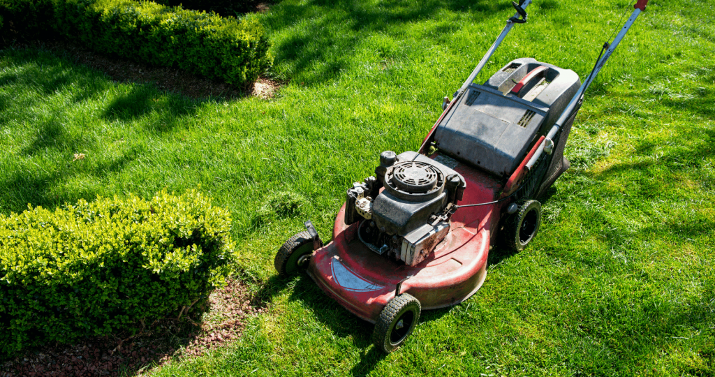 Push Rotary Lawn Mower - Silverstone Gardening