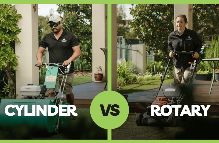 Which Lawn Mower Is Best? 9 Great Options For Australian Lawns