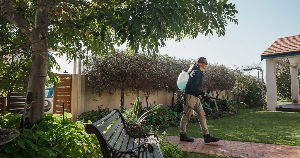 Knockdown Weed Spraying Services Mandurah