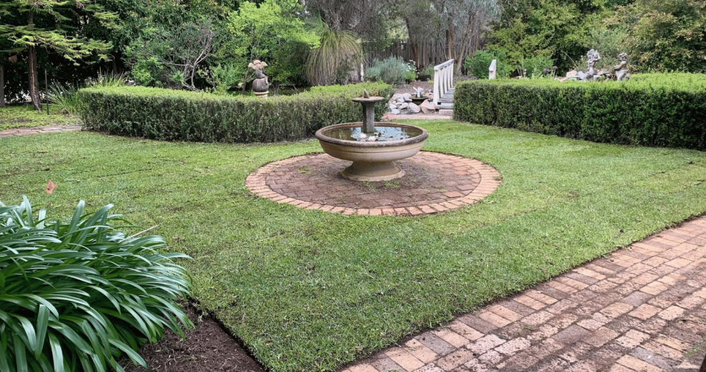 Buffalo Lawn Installation Baldivis
