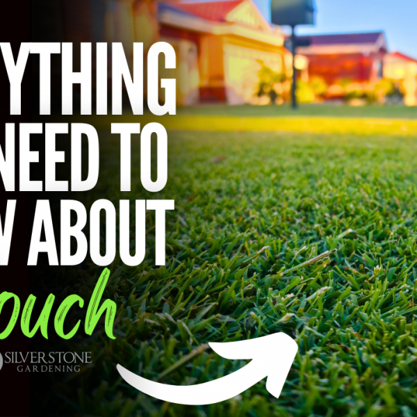 Everything You Need To Know About Couch Lawns
