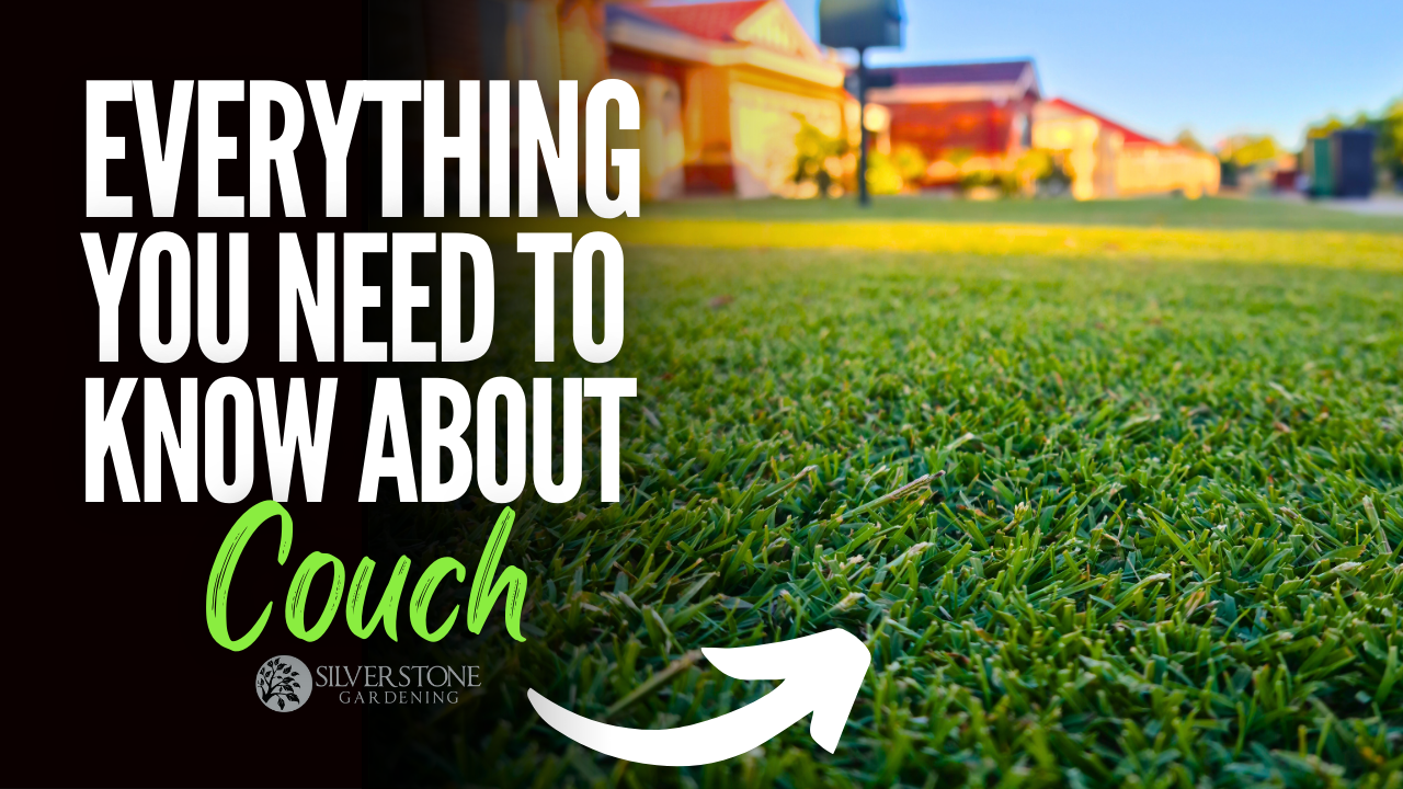 Everything You Need To Know About Couch Lawns