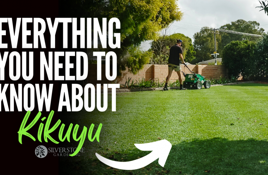Everything you need to know about Kikuyu