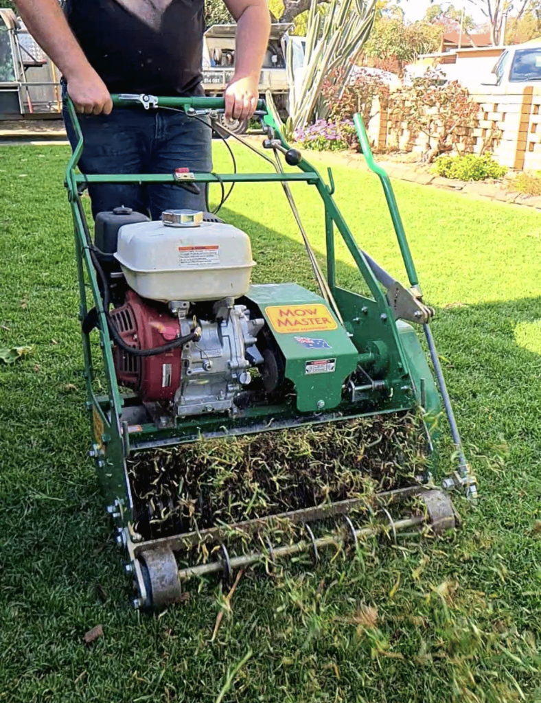 Vertimowing Kikuyu Lawn