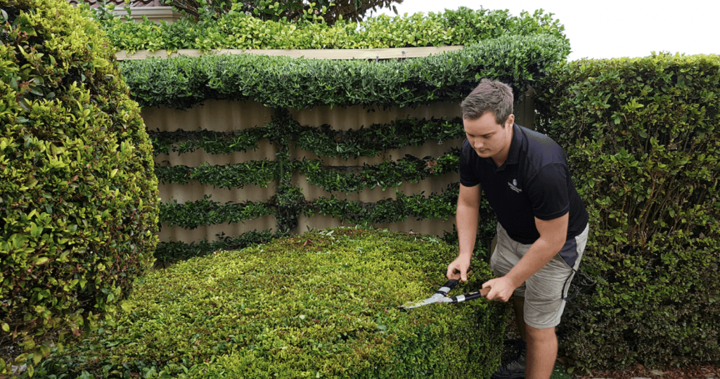 Topiary