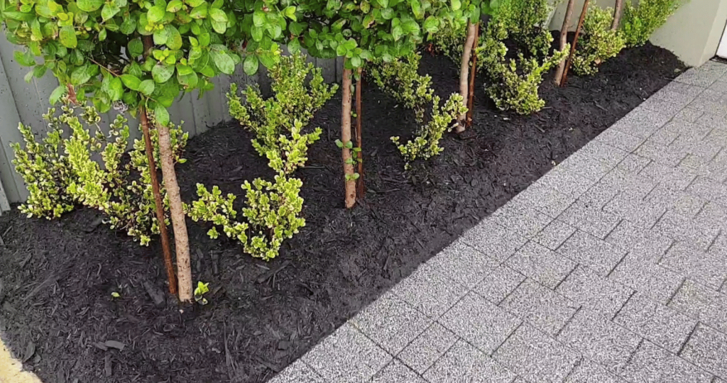 Black Mulch