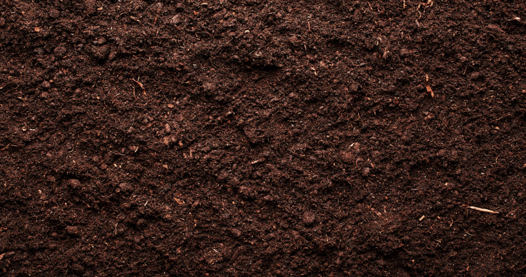 Soils and Composts 