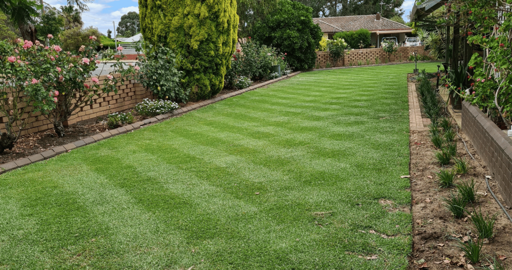 Cylinder mowing Rockingham