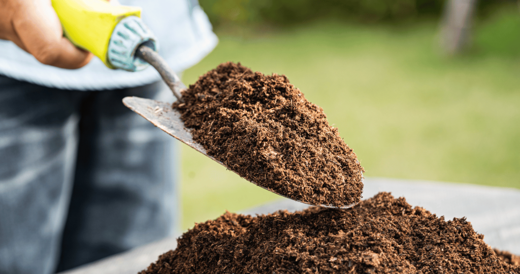 Peat Moss Organic Matter for Nourishing the soil